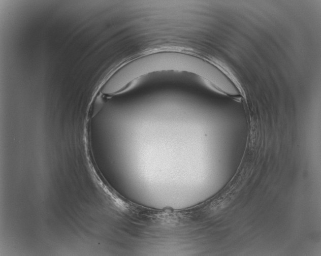 X0000075410906200610061954