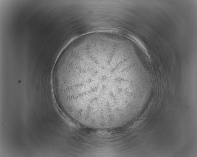 X0000075410907200610061954