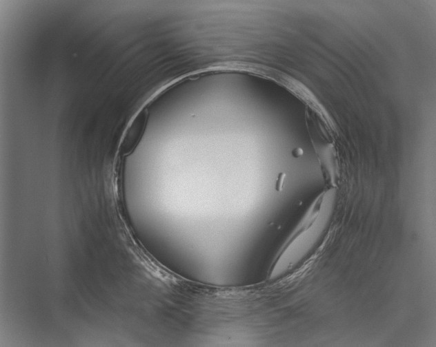 X0000075410908200610061954