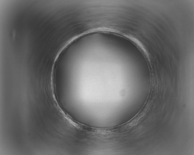 X0000075410910200610061954