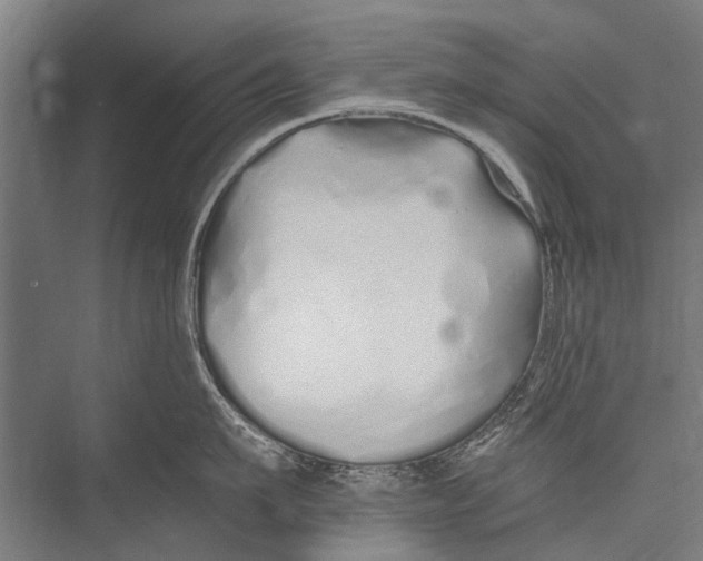 X0000075410911200610061954