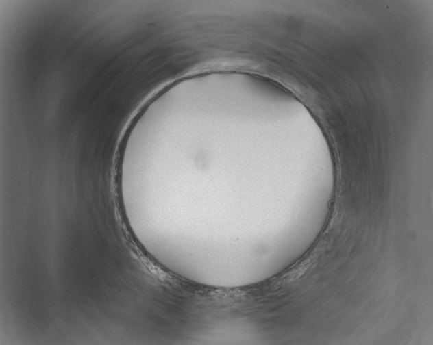 X0000075410912200610061954