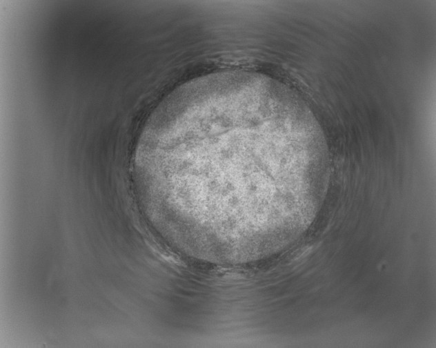 X0000075410913200610061953