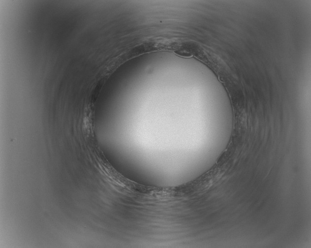 X0000075410914200610061953