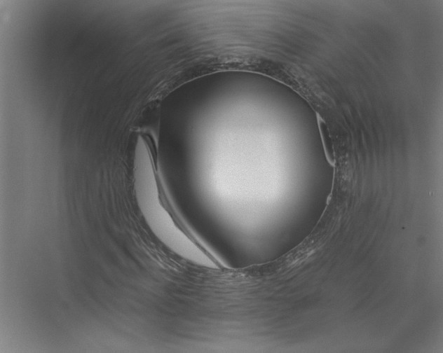 X0000075410916200610061953