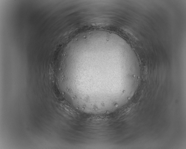 X0000075410917200610061953