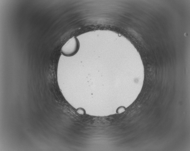 X0000075410918200610061953