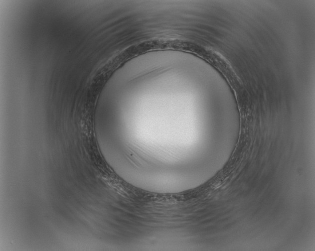 X0000075410919200610061953