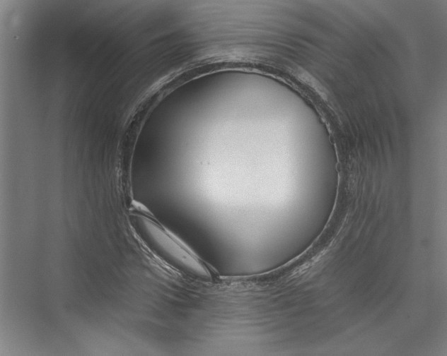 X0000075410922200610061953