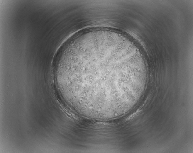 X0000075410925200610061953