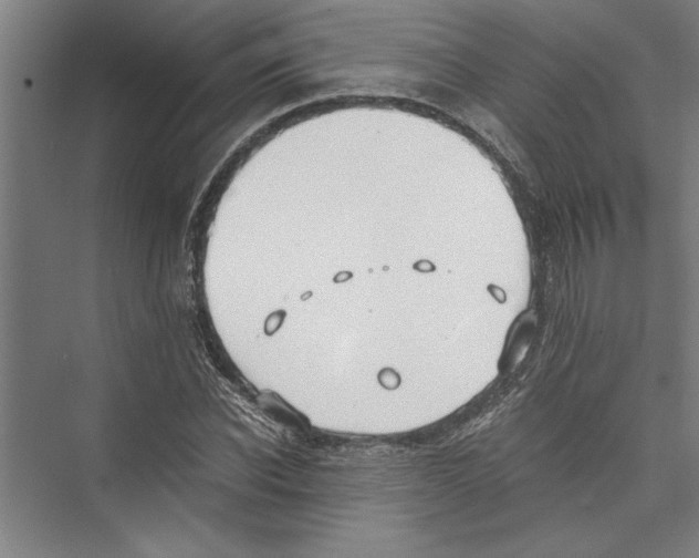 X0000075410926200610061953