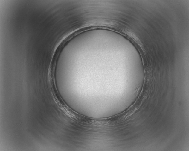 X0000075410928200610061953