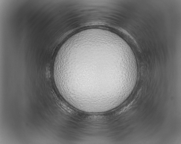 X0000075410929200610061953