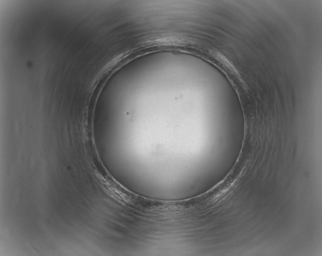 X0000075410930200610061953