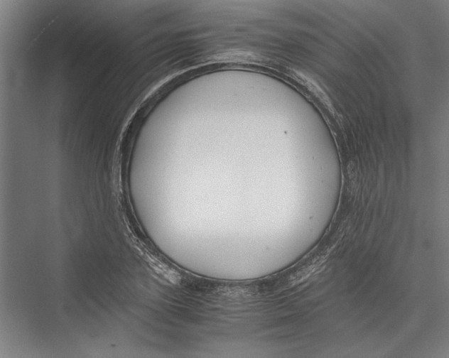 X0000075410931200610061953