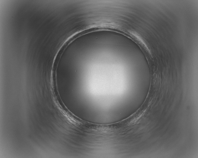 X0000075410932200610061953