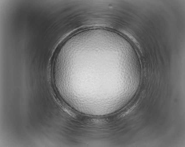 X0000075410933200610061953