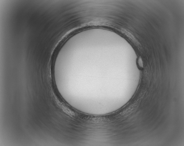 X0000075410934200610061953