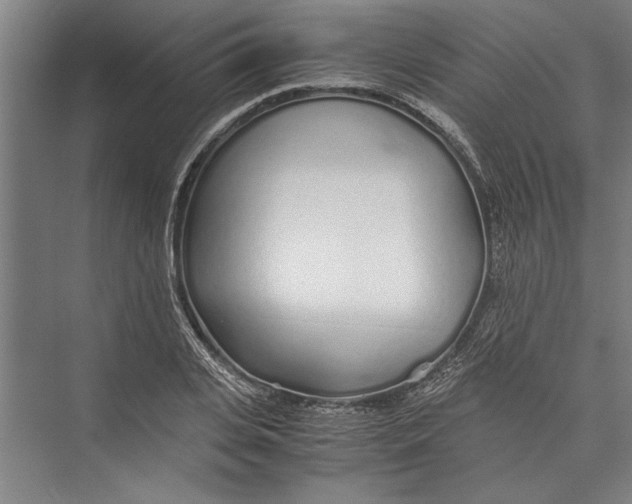 X0000075410935200610061954