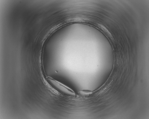 X0000075410938200610061954