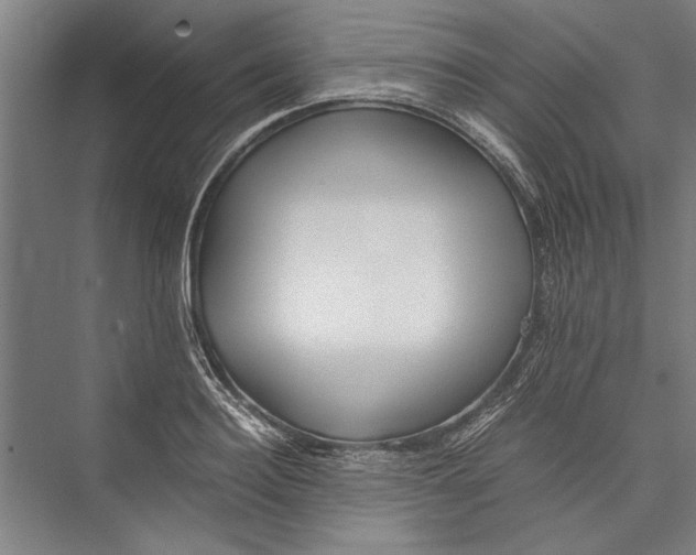 X0000075410940200610061954