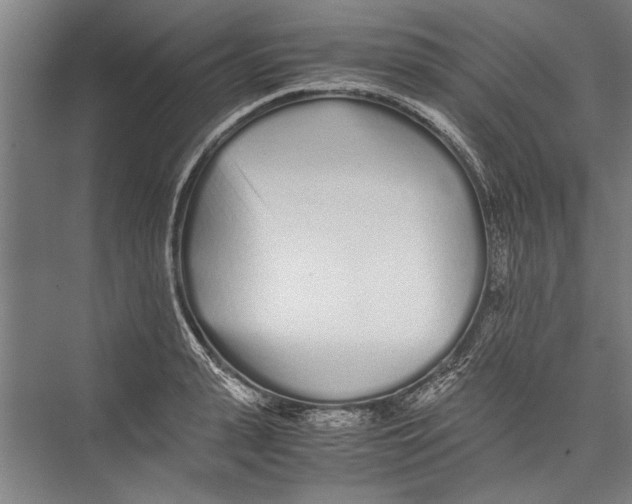 X0000075410943200610061954