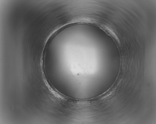 X0000075410944200610061954