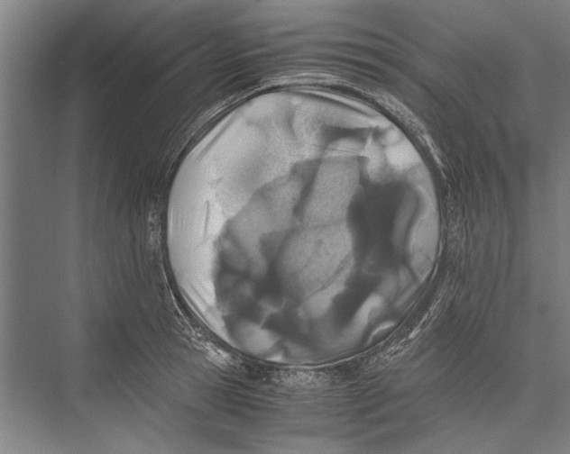 X0000075410945200610061954