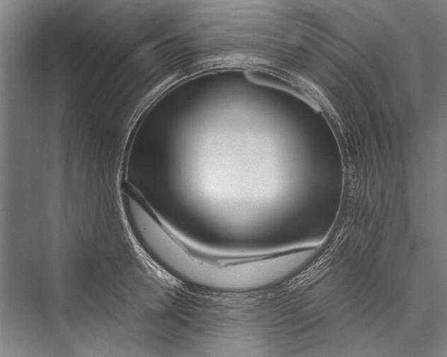 X0000075410946200610061954