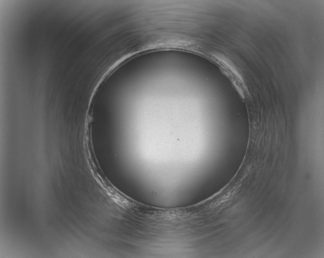 X0000075410948200610061954