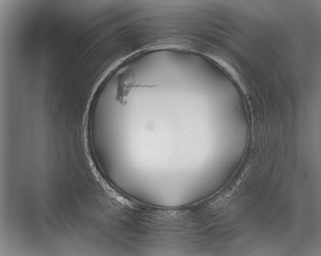 X0000075410949200610061954