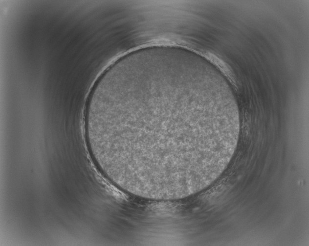 X0000075410950200610061954