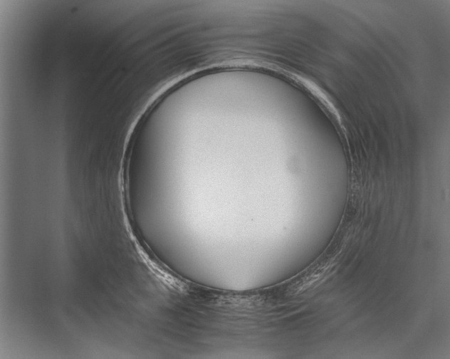 X0000075410951200610061954