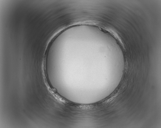 X0000075410952200610061954