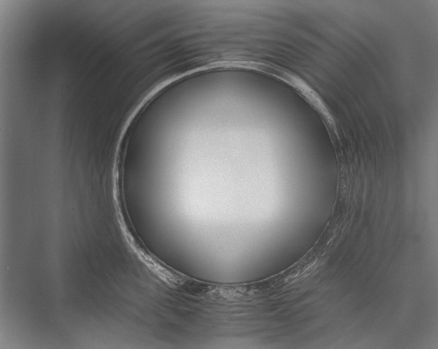 X0000075410955200610061954