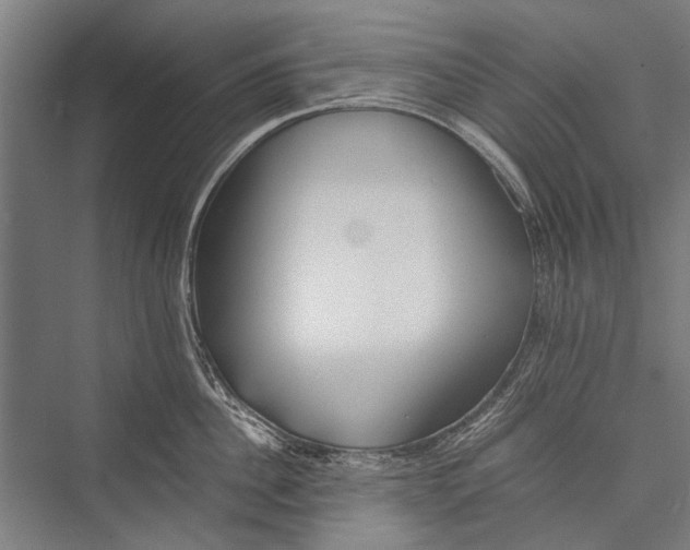 X0000075410956200610061954