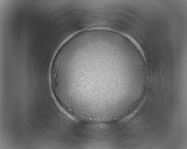 X0000075410957200610061954