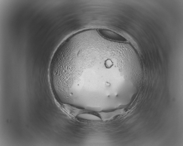 X0000075410958200610061954