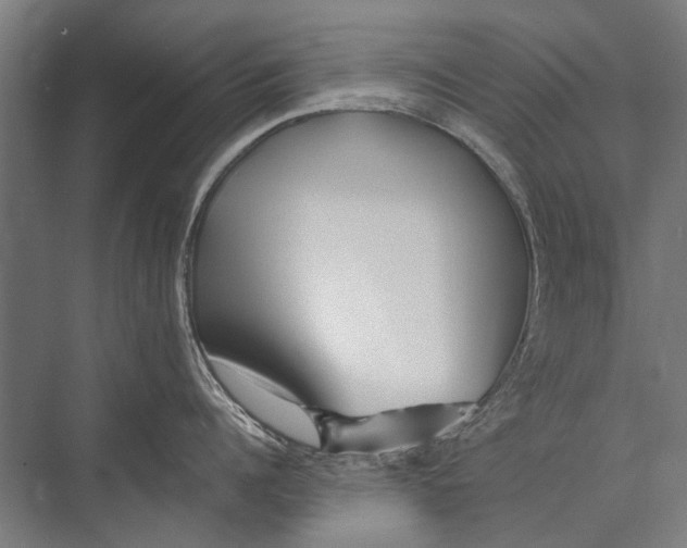 X0000075410960200610061954