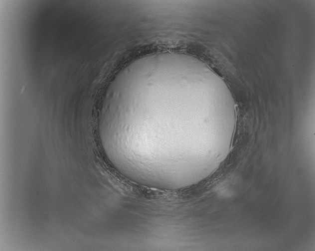 X0000075410961200610061953