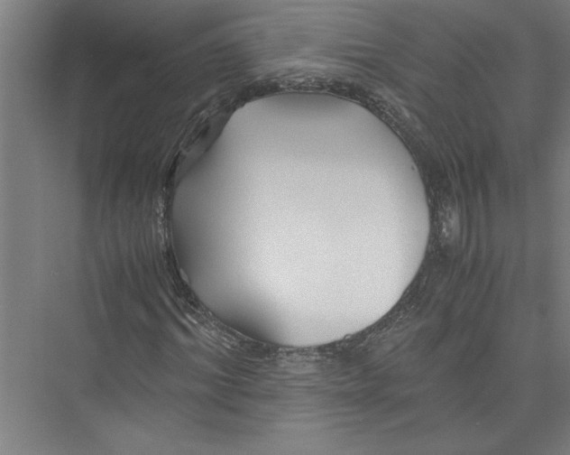 X0000075410964200610061953