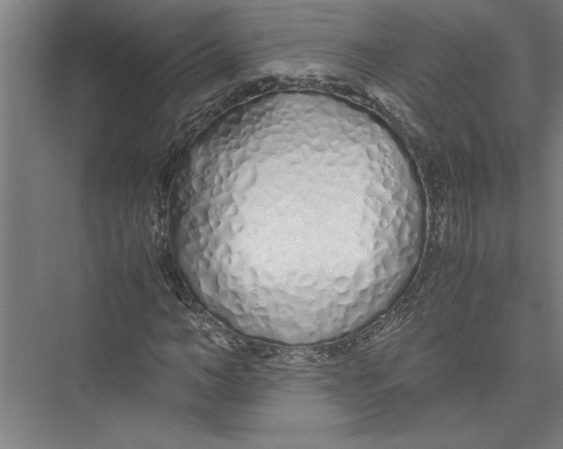 X0000075410966200610061953