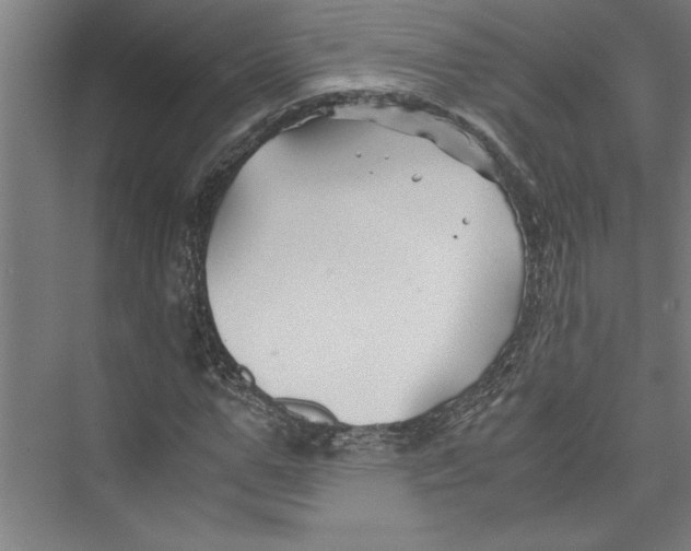 X0000075410967200610061953