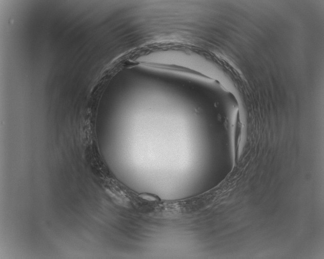 X0000075410968200610061953