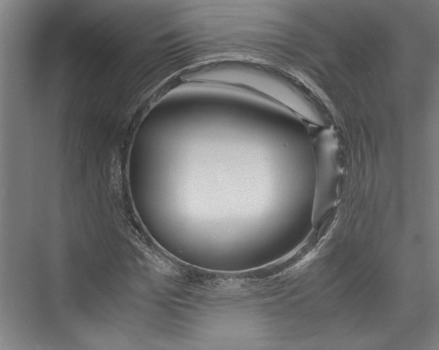 X0000075410969200610061953