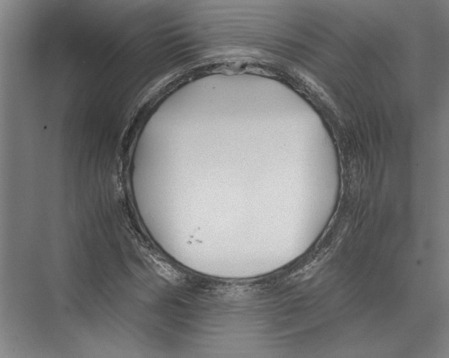 X0000075410970200610061953