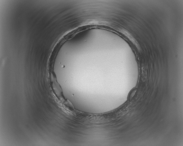 X0000075410972200610061953