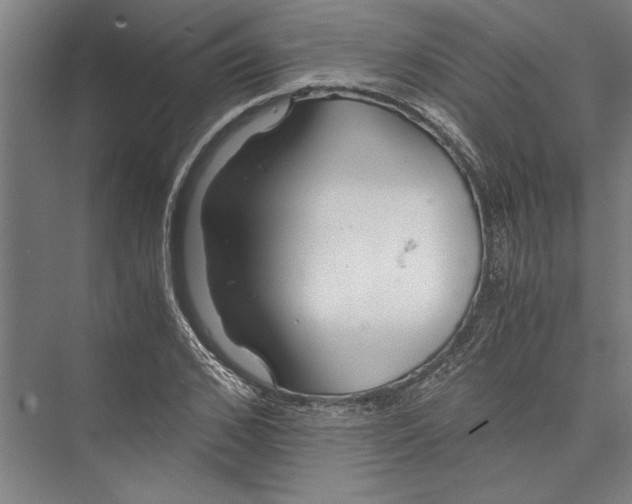 X0000075410976200610061953