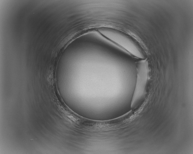 X0000075410977200610061953