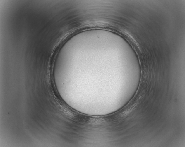 X0000075410978200610061953